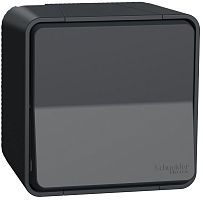 Выключатель самовозвратный накладной Schneider Electric Mureva Styl 1-кл. IP55 антрацит картинка